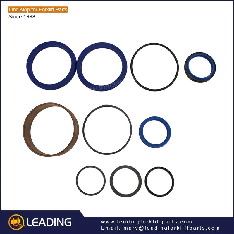 Forklift cylinder oil seal 1